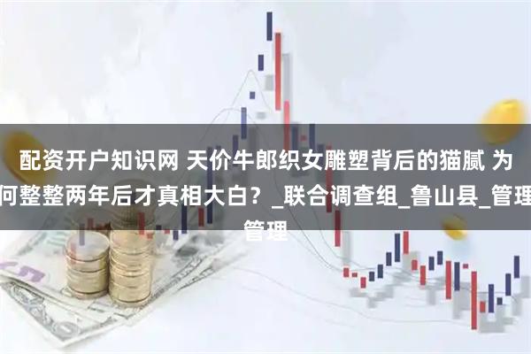 配资开户知识网 天价牛郎织女雕塑背后的猫腻 为何整整两年后才真相大白？_联合调查组_鲁山县_管理