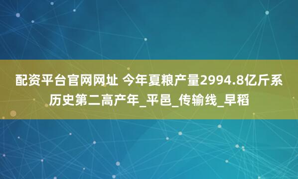 配资平台官网网址 今年夏粮产量2994.8亿斤系历史第二高产年_平邑_传输线_早稻